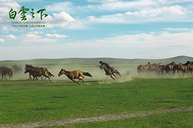 1622631747658667lkxb.jpg 牧馬人展現草原套馬絕技.jpg